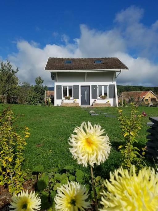 Gite Le Charmot, Au Pied Des Montagnes Classe 3* Roderen Luaran gambar