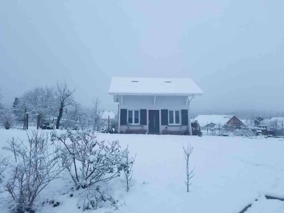 Gite Le Charmot, Au Pied Des Montagnes Classe 3* Roderen Luaran gambar