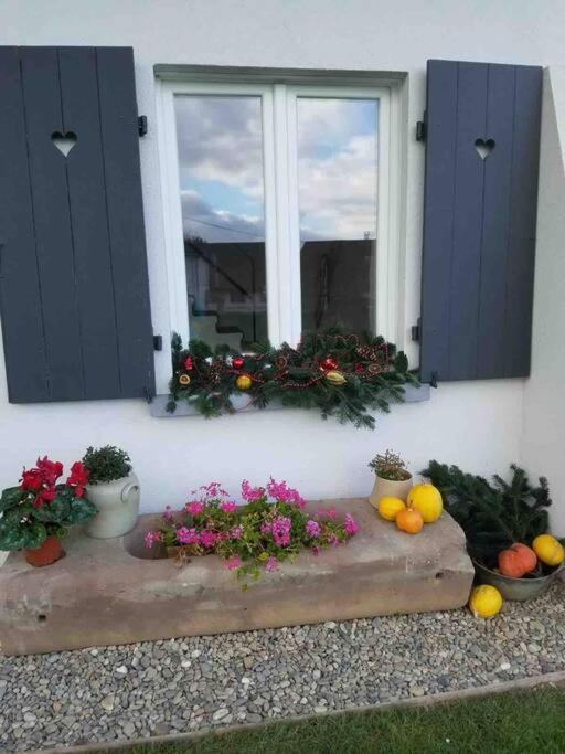 Gite Le Charmot, Au Pied Des Montagnes Classe 3* Roderen Luaran gambar